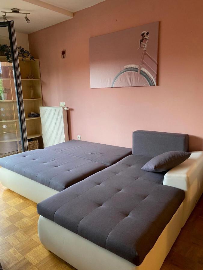 Apartma Felicija Ljubljana Eksteriør bilde